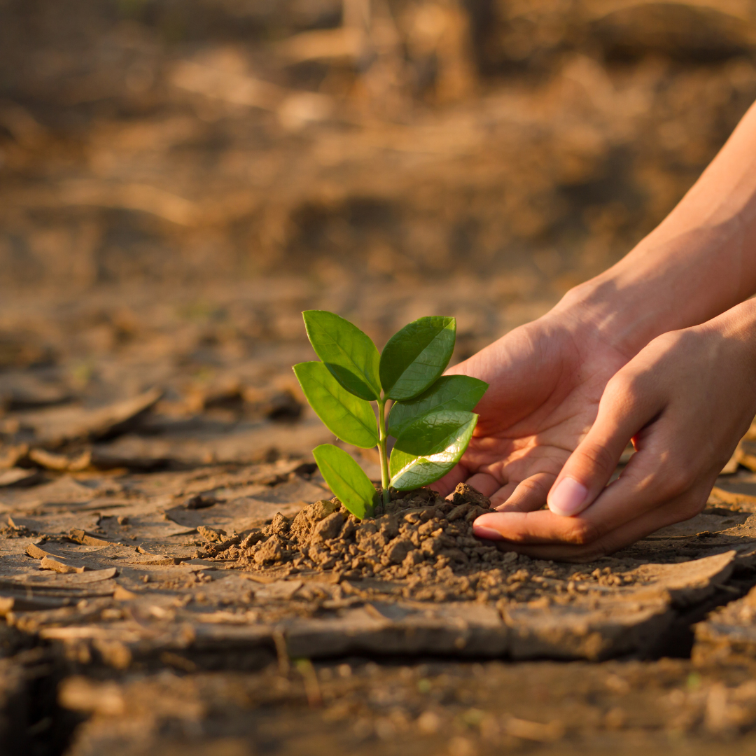 Gestión de riesgos climáticos en carteras crediticias
